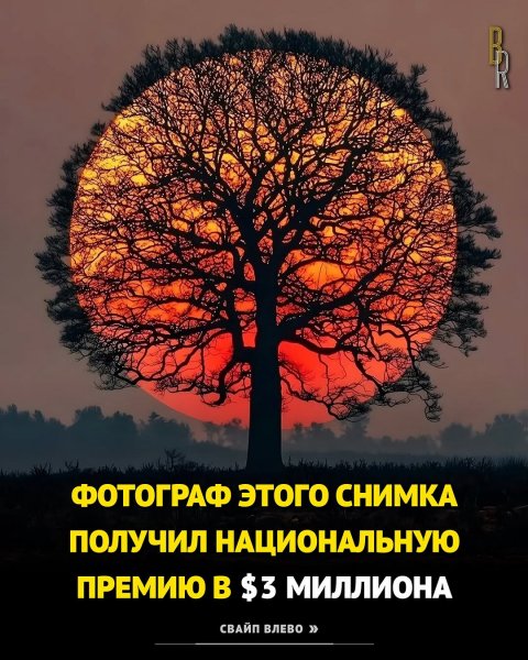 Biznes razym b5d8251134174447abae0d894783bc9b