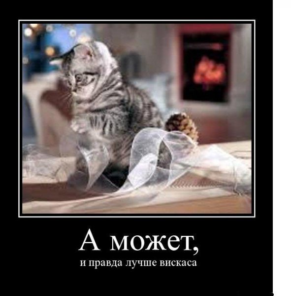 picture_375300204