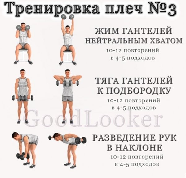 qvFRViFqJgA
