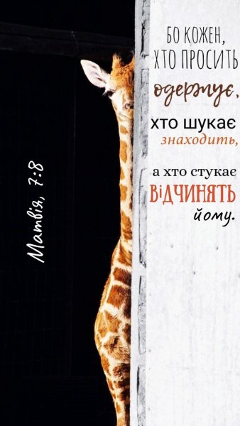 df7878f5699f037954d54c280b