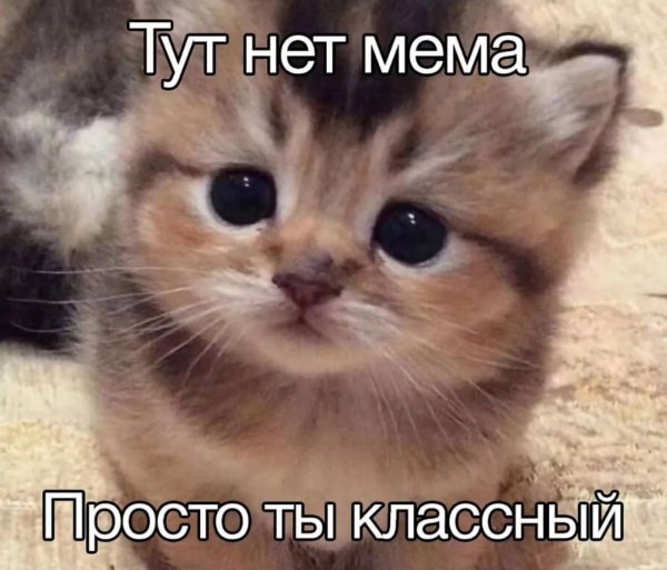 picture_407991677