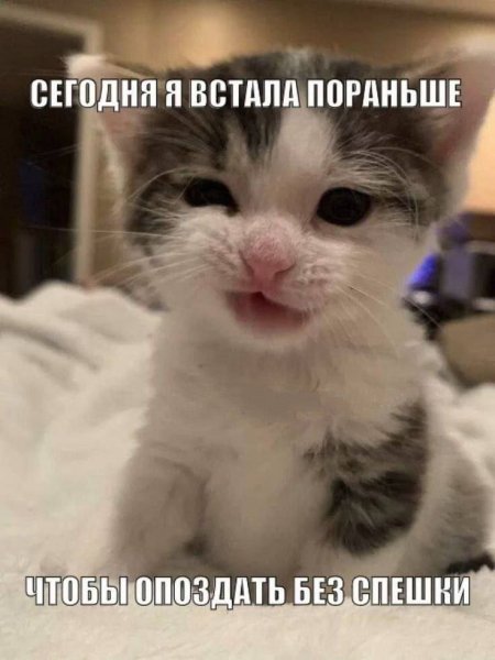 picture_412697152