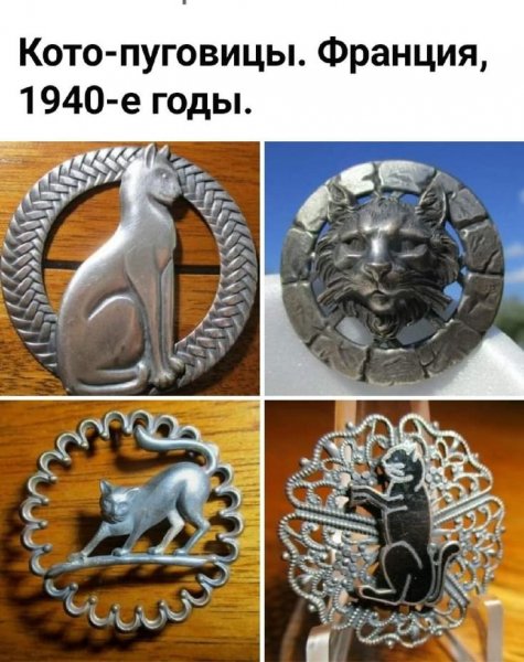 Котопуговицы )