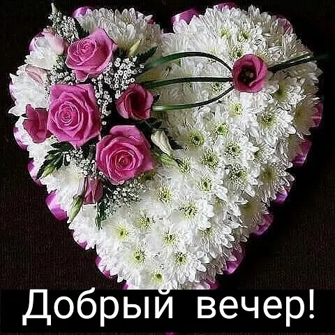 IMG 20220226 201724