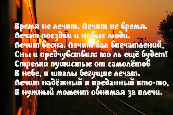 Images 11446