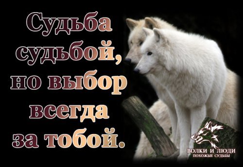 picture_207403597