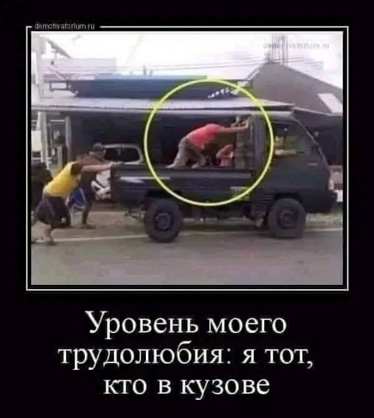 picture_380795574