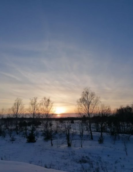 Люблю зиму