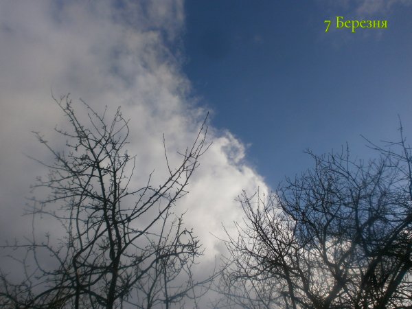 7 Березня