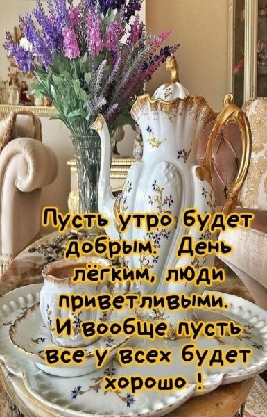 IMG-20220204-WA0000