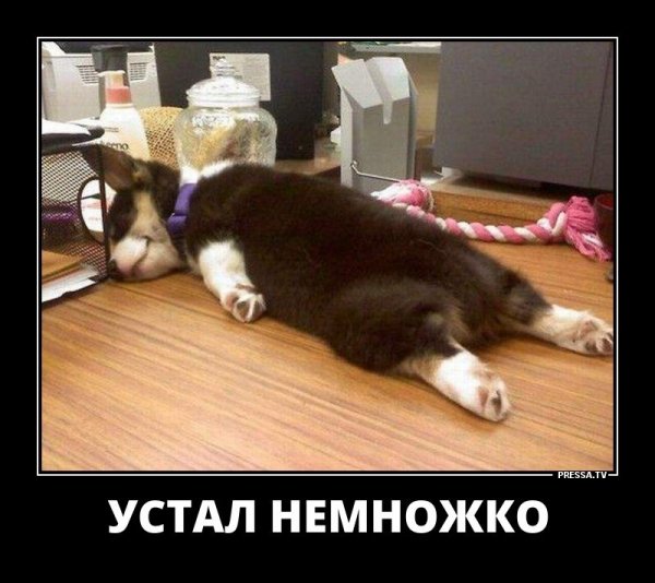 Смешные демотиваторы