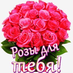 розы
