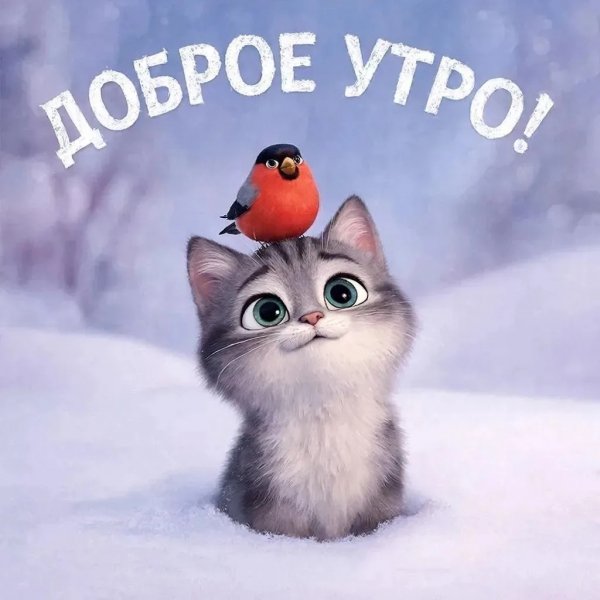 IMG 20260131 092049 450