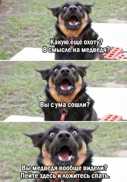 Оба - на!!!