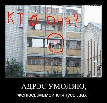 демотиваторы 193755