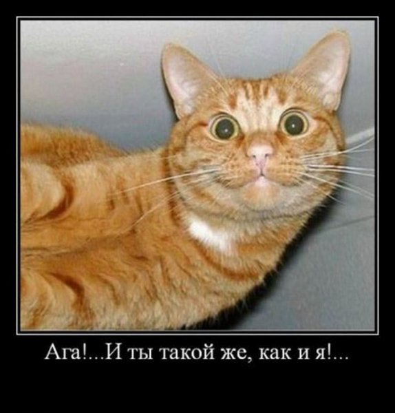 Ага!...