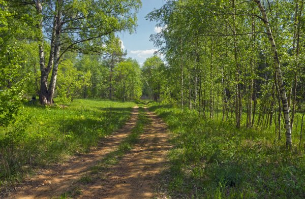 Май 15г