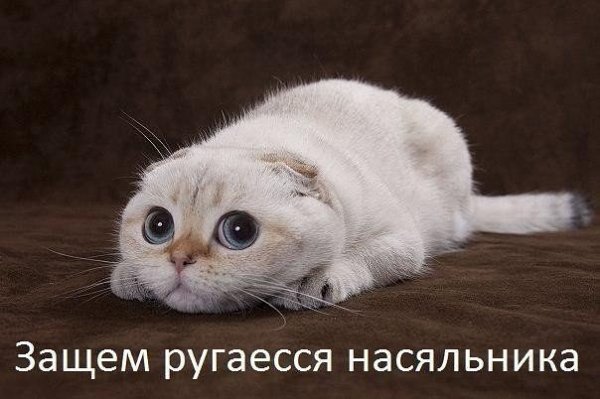 Не ругасся))))