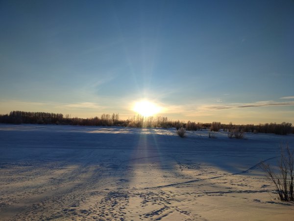 picture_316010477
