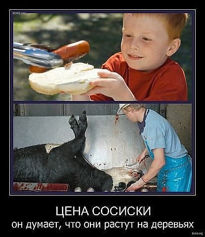 pics