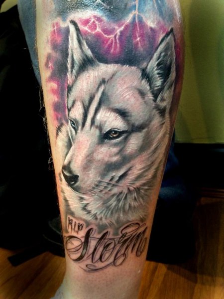 Tattoo (4656)