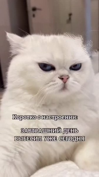 Да! ))