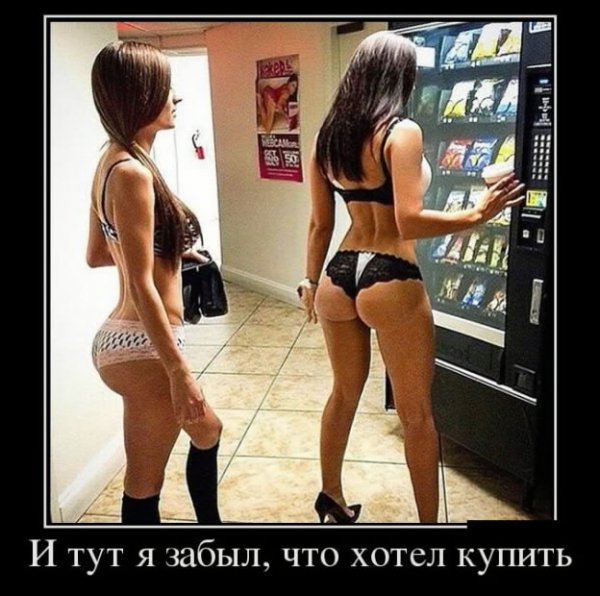 picture_220179929