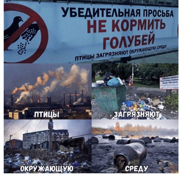 вредители