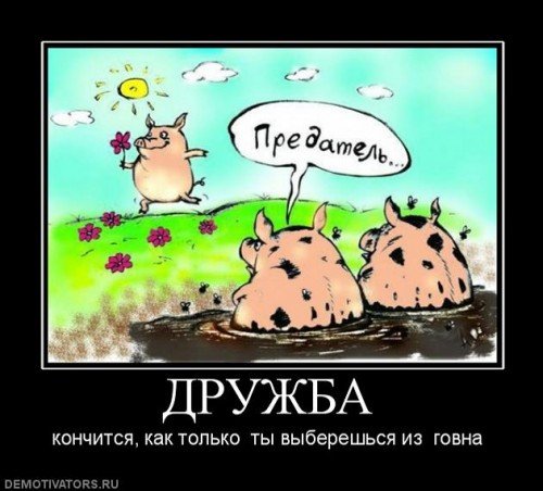 Demotivatory (14)