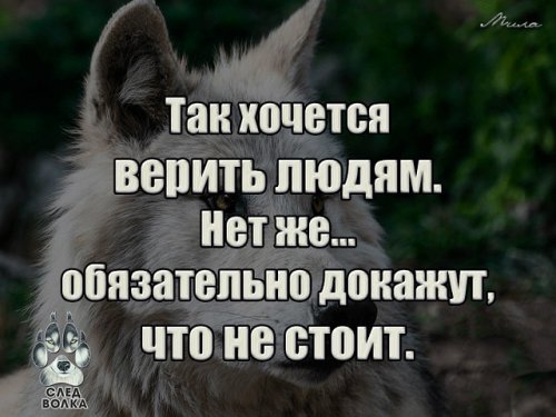 picture_215308743
