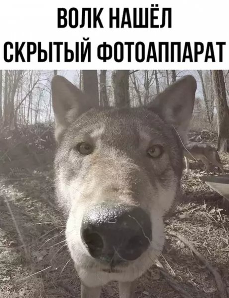 FbswRyNvV8