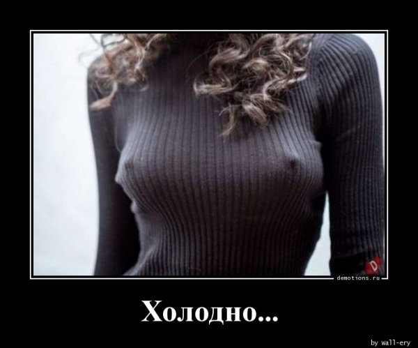 Holodn