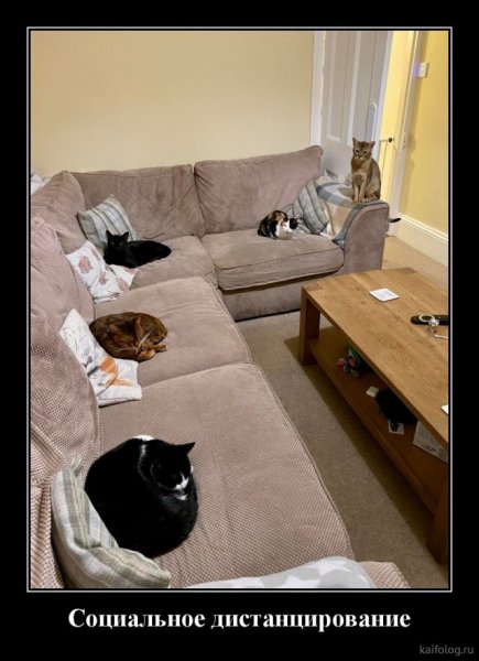 picture_379772489