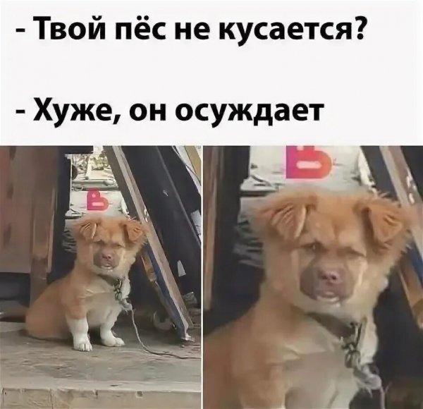 Опаньки!
