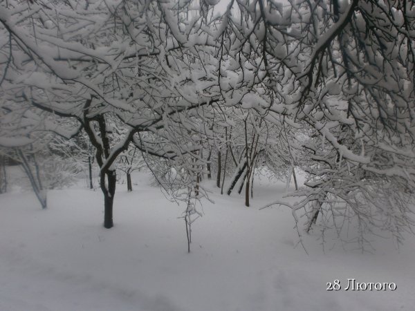 28 Лютого