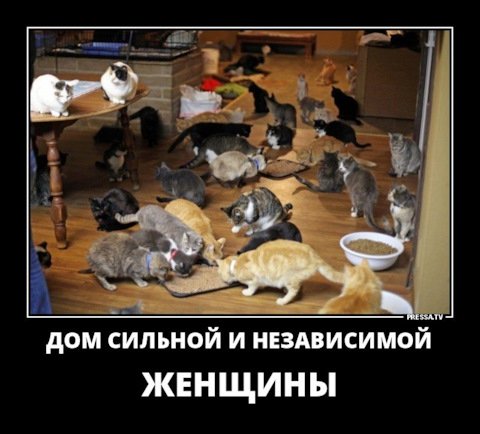 KAe-0NhlBY7YbJAClb2tPnp 0aE-480