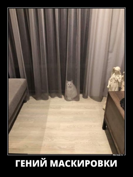 Гений
