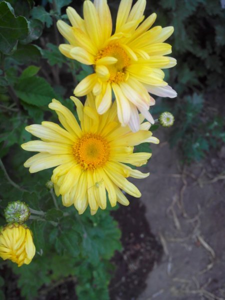 IMG 20140729 202848