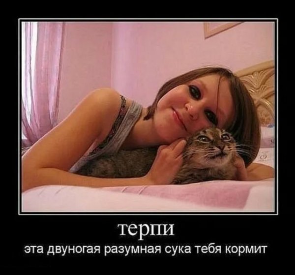Humor from the web (13)