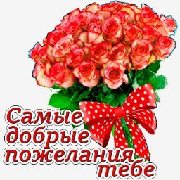 розы