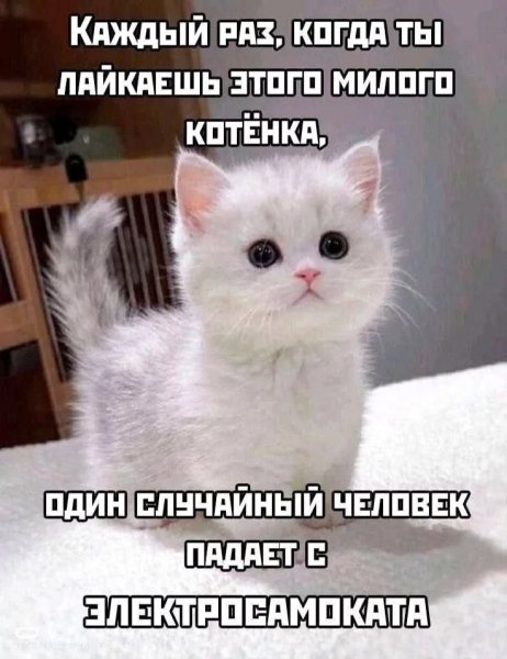 picture_411930872