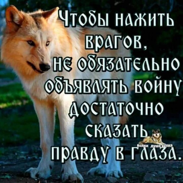 IMG 20210418 032859