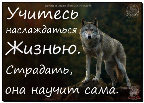 picture_175172693
