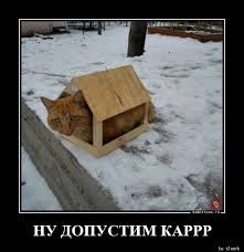 pics