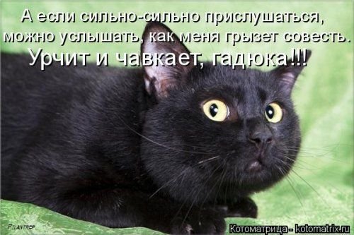 Урчит и чавкает, гадюка!!!