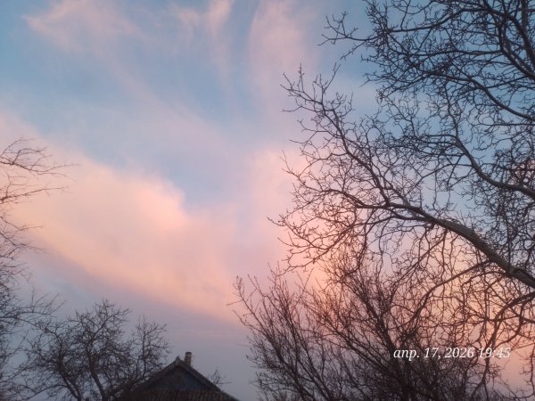 picture_411480298