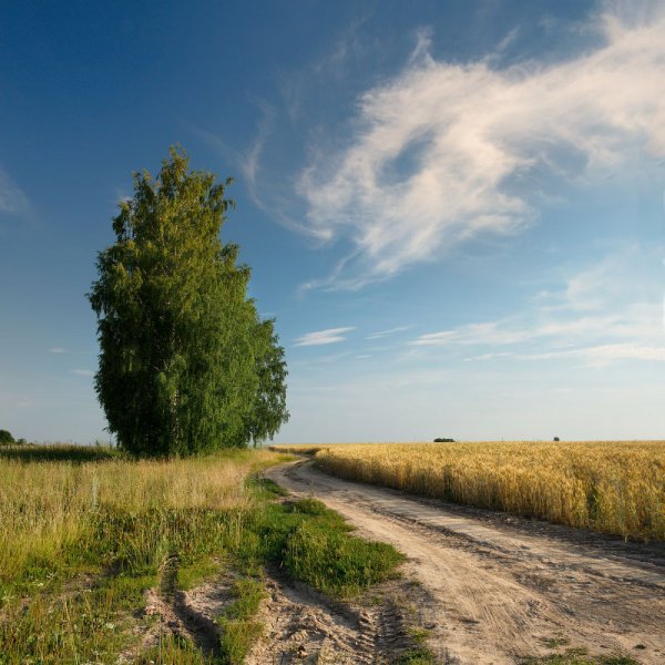 Летом