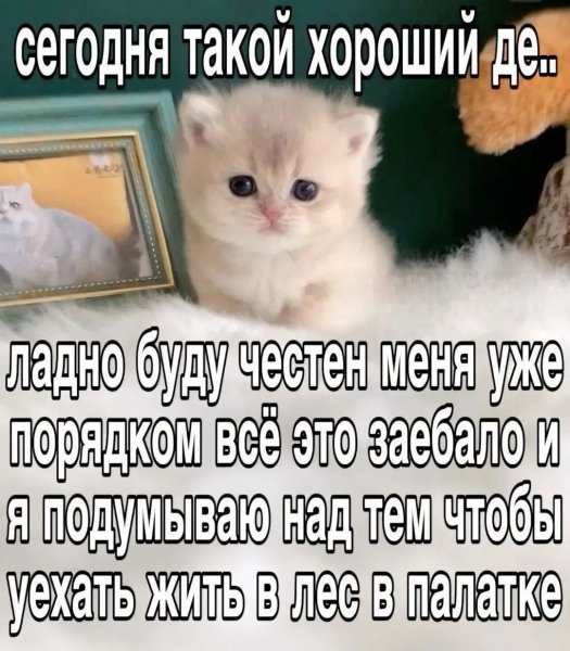picture_412697125