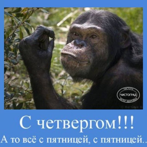 С четвергом!!!