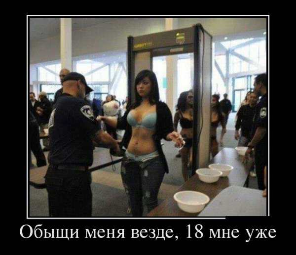 Обыщи меня везде